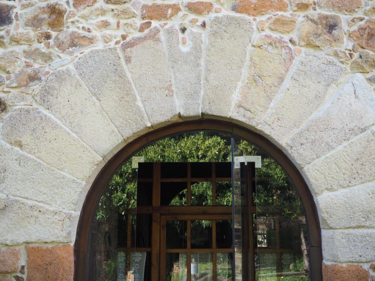 Pensjonat Mas Cal Sastre Sant Hilari Sacalm Zewnętrze zdjęcie